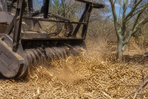 Tracked mulcher grinding a velvet mesquite thicket into chip on a caliche flat north of Surprise